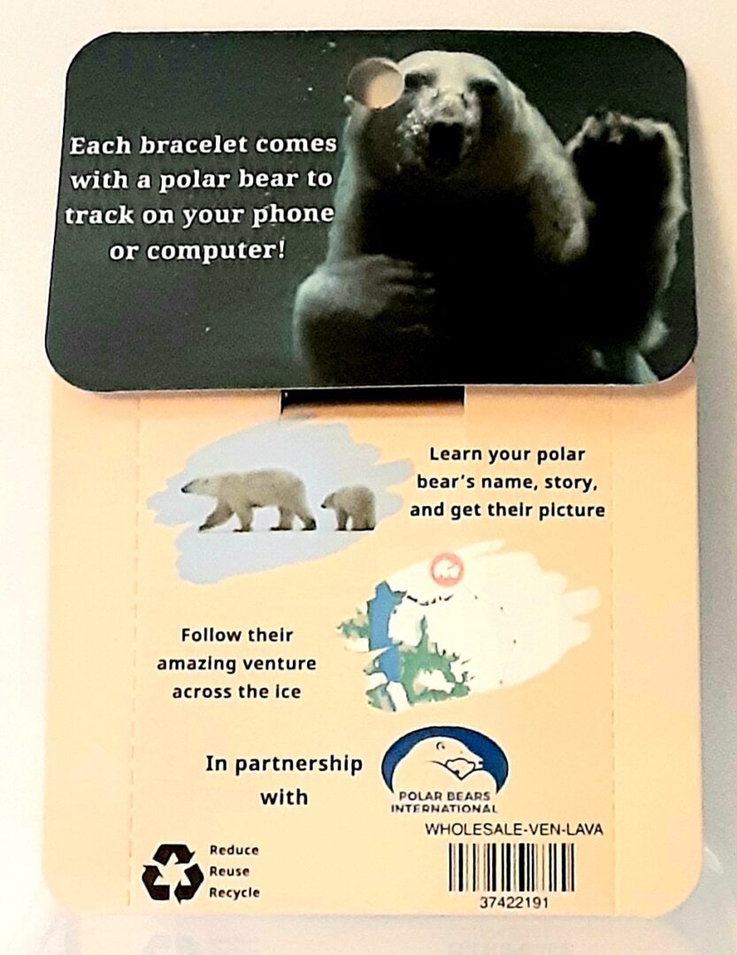 Buy Polar Bear and White Animal Bracelet Rope Wristband Bear Heart Love Set  at Amazon.in