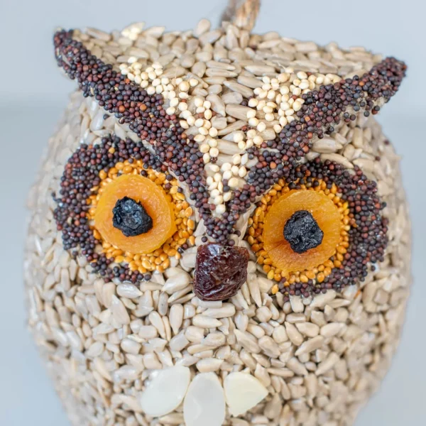 Seed owl bird feeder craft.